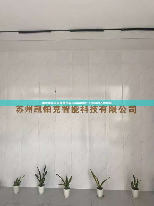 川崎机器人保养泰州市,苏州凯铂克-工业机器人服务商