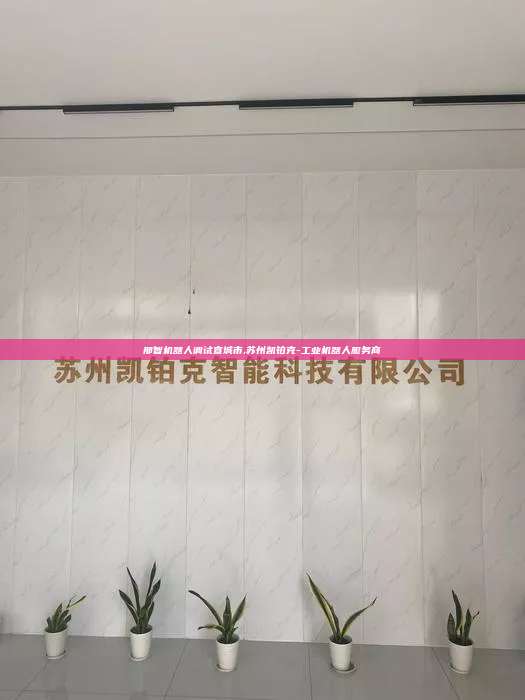 那智机器人调试宣城市,苏州凯铂克-工业机器人服务商