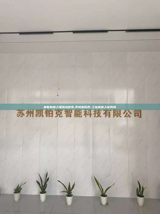 那智机器人维修合肥市,苏州凯铂克-工业机器人服务商