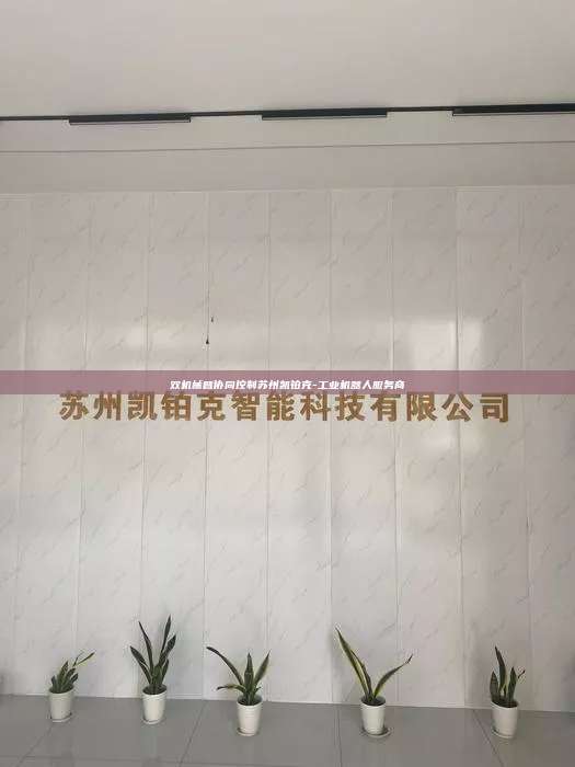 双机械臂协同控制苏州凯铂克-工业机器人服务商