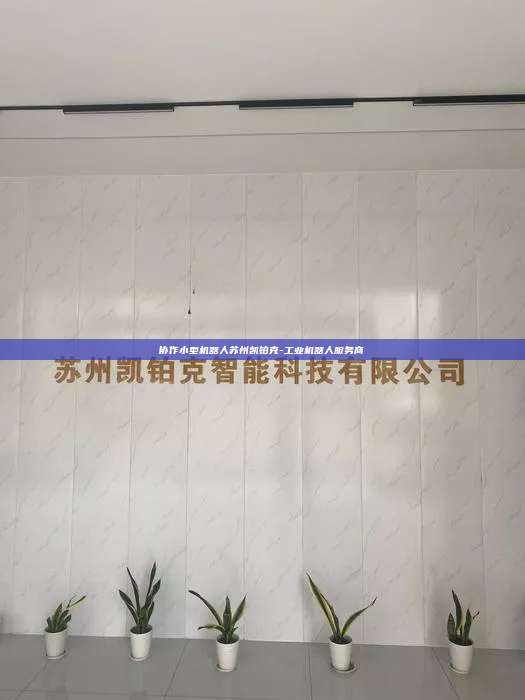 协作小型机器人苏州凯铂克-工业机器人服务商