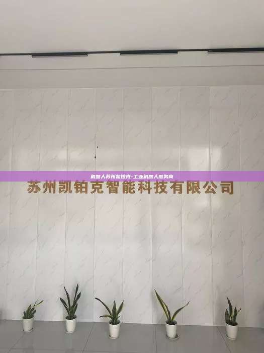 机器人苏州凯铂克-工业机器人服务商