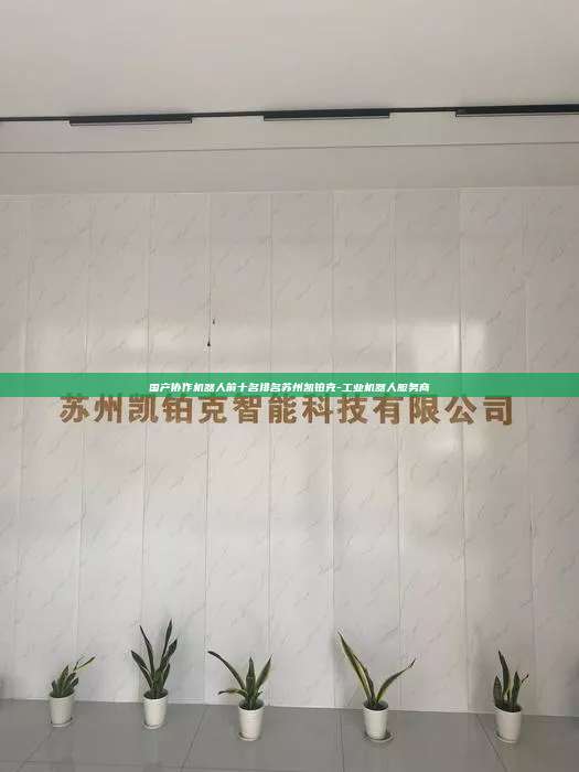 国产协作机器人前十名排名苏州凯铂克-工业机器人服务商