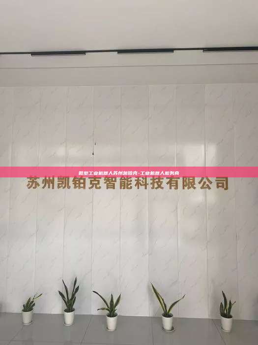 微型工业机器人苏州凯铂克-工业机器人服务商
