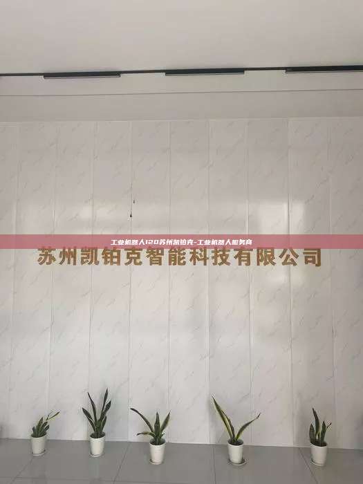 工业机器人120苏州凯铂克-工业机器人服务商
