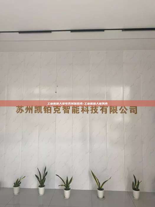 工业机器人型号苏州凯铂克-工业机器人服务商