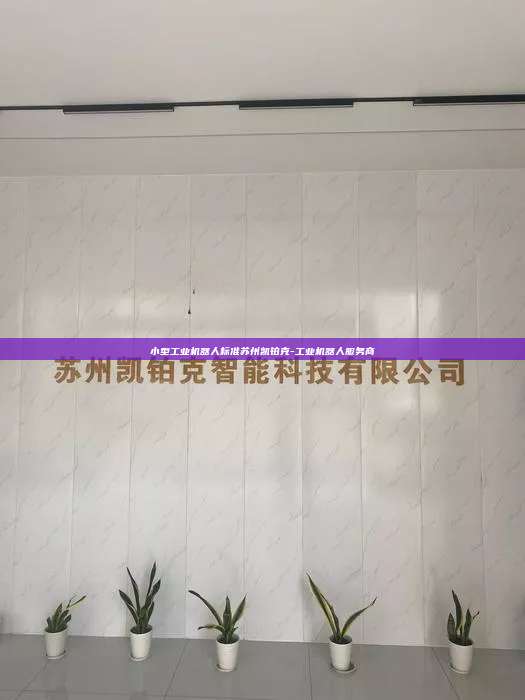 小型工业机器人标准苏州凯铂克-工业机器人服务商