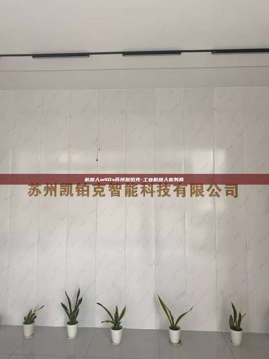 机器人m40s苏州凯铂克-工业机器人服务商