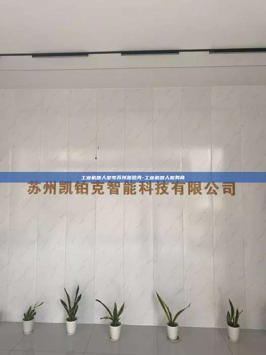 工业机器人型号苏州凯铂克-工业机器人服务商