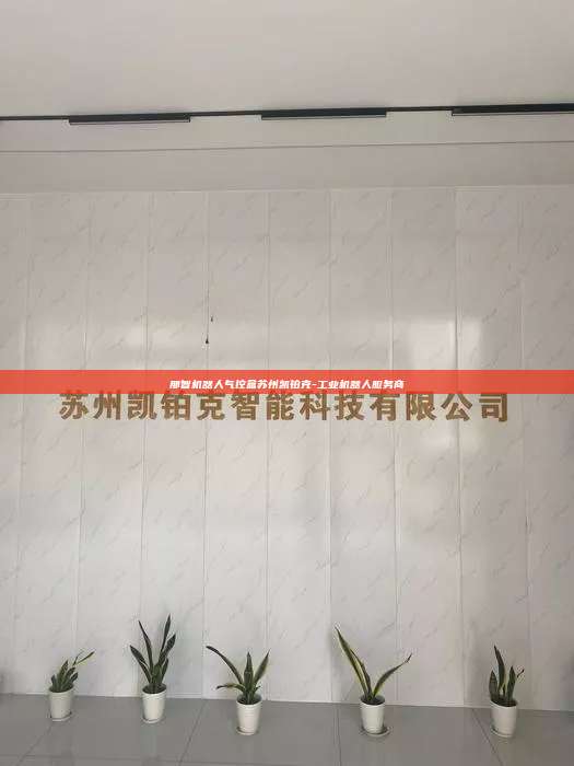 那智机器人气控盒苏州凯铂克-工业机器人服务商