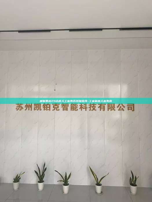 那智售后24小时人工服务苏州凯铂克-工业机器人服务商