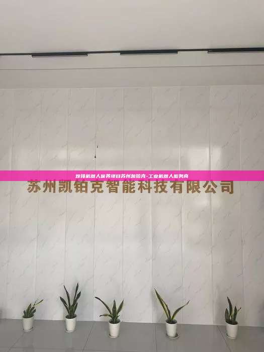 焊接机器人保养项目苏州凯铂克-工业机器人服务商